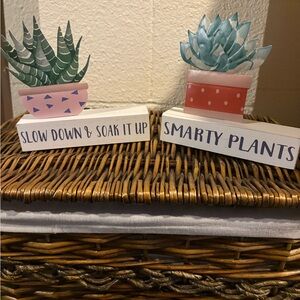 Decorative Plant Signs with Succulent Design